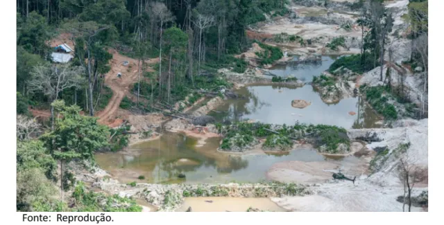 Justiça determina retomada de ação contra empresa investigada por comercialização de ouro ilegal no Pará.