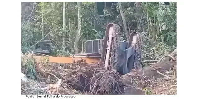 Máquina tomba e provoca vazamento de óleo em igarapé de Alter do Chão.