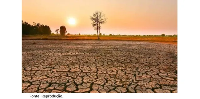 Diálogo regional sobre impactos do El Niño na Amazônia será realizado nesta sexta-feira em Santarém.
