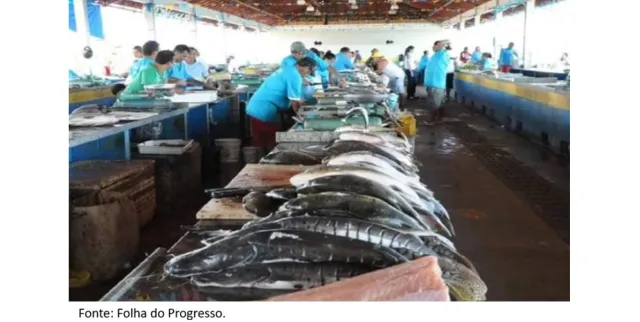 Feira do Pescado de Santarém receberá reforma e ampliação de R$ 23 milhões.